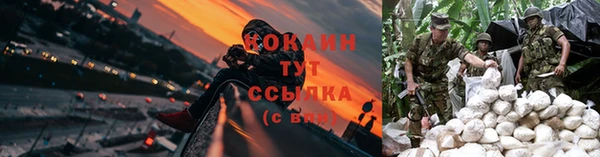 apvp Костерёво