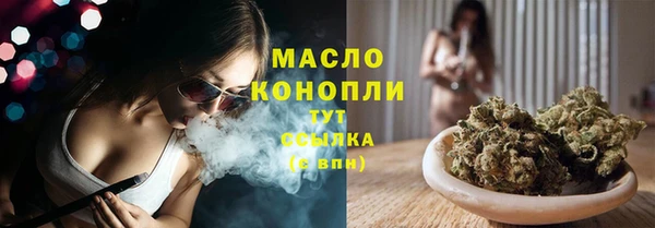 сатива Коряжма