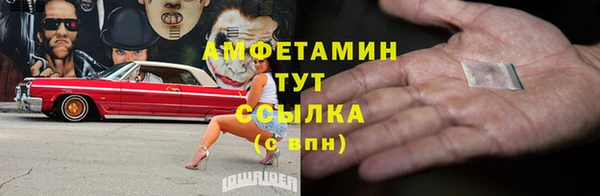 сатива Коряжма