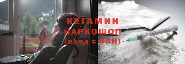 сатива Коряжма