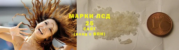 сатива Коряжма