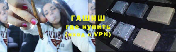 сатива Коряжма