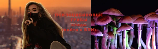 apvp Костерёво