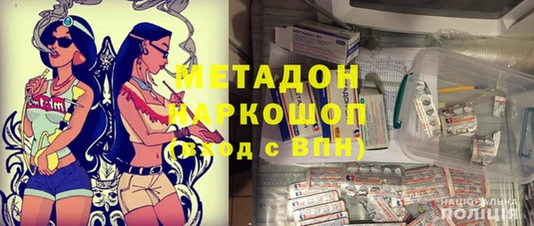 сатива Коряжма