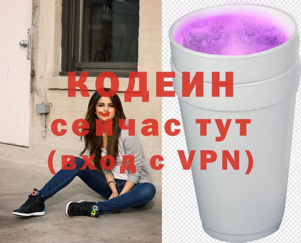 сатива Коряжма