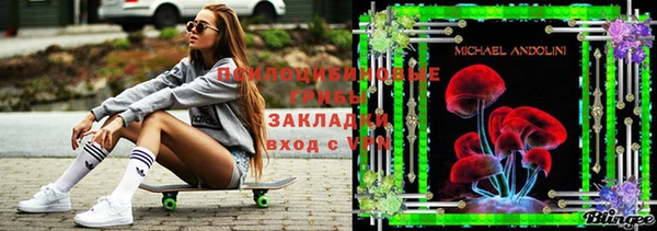 сатива Коряжма