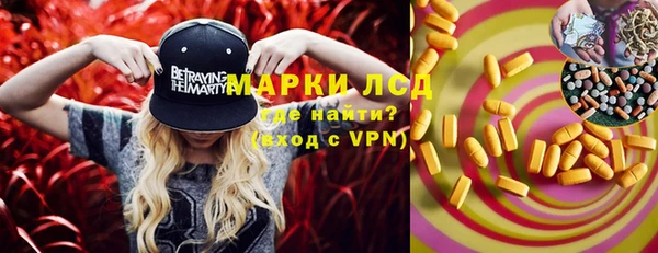 сатива Коряжма