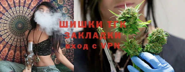 сатива Коряжма