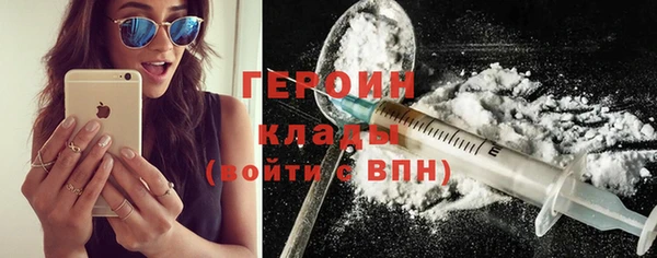 сатива Коряжма