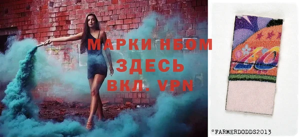 сатива Коряжма