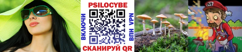 Купить закладки  Бузулук  Псилоцибиновые грибы MAGIC MUSHROOMS 